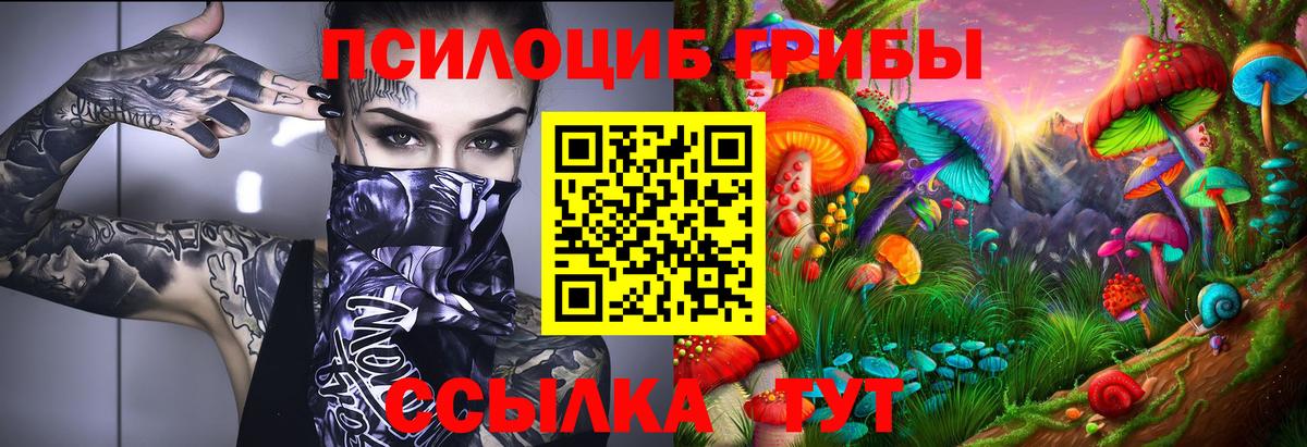 Вышний Волочёк  Галлюциногенные грибы ЛСД  Вход с VPN 